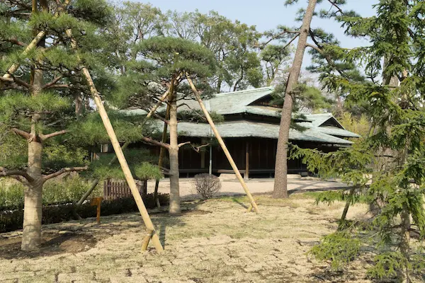 Suwano chaya tea house (1)